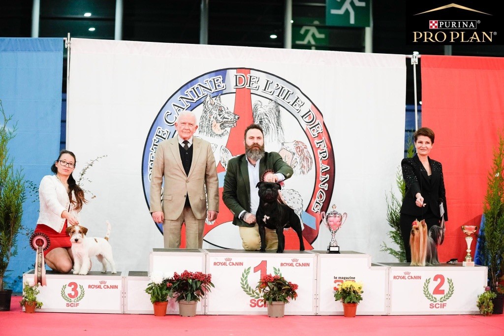 Du Fleuron Champenois - Paris Dog Show 6 et 7 janvier 2024