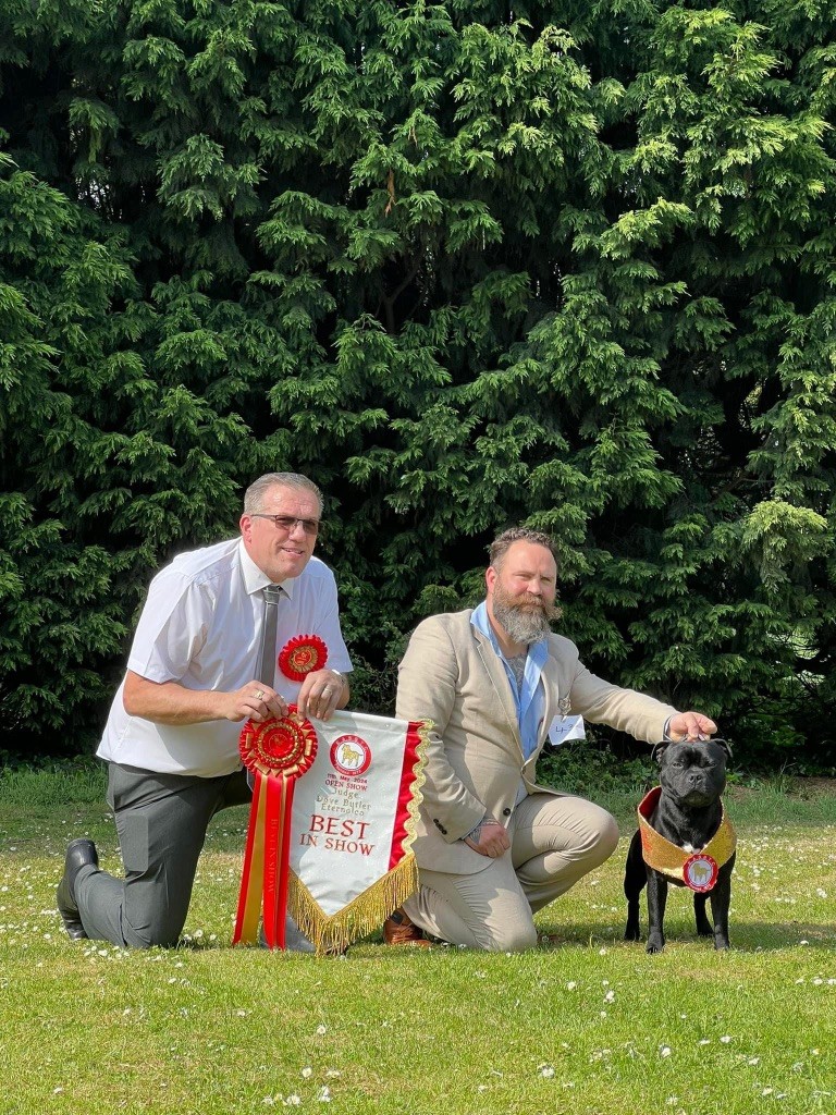 Du Fleuron Champenois - East Anglian Staffordshire Bull Terrier Club