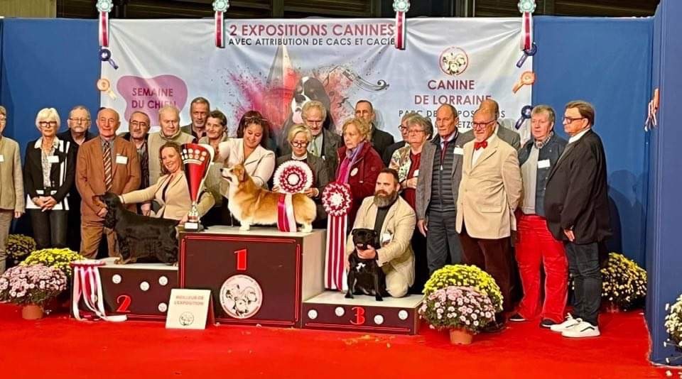 Du Fleuron Champenois - CACS/CACIB Metz des 4 et 5 Novembre 