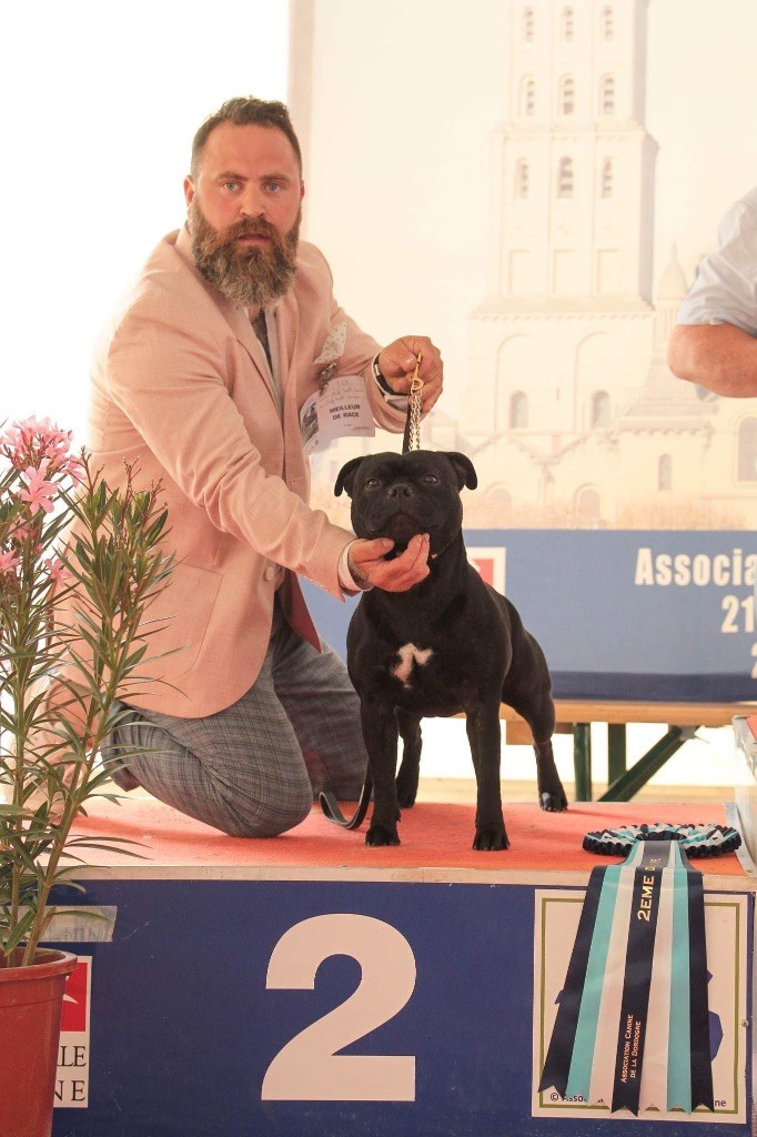 Du Fleuron Champenois - CACS et CACIB Périgueux 