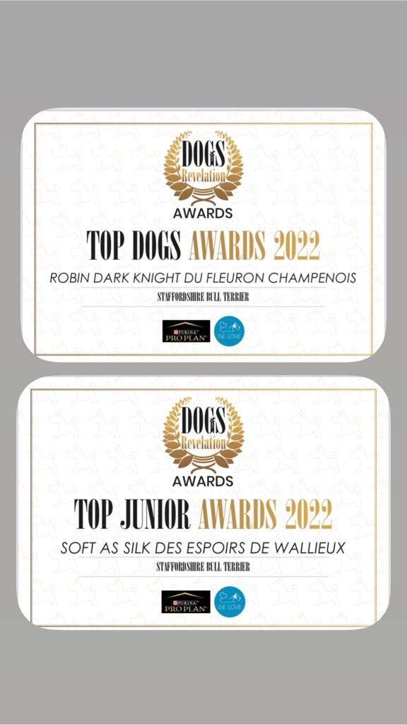 Du Fleuron Champenois - Dogs Awards 2022 Dogs Revelation 