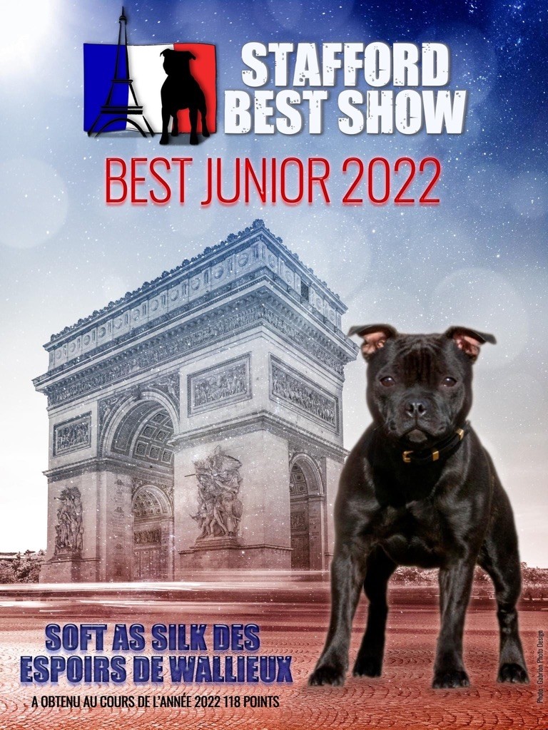 Du Fleuron Champenois - Best Junior 2022 « Isis « 