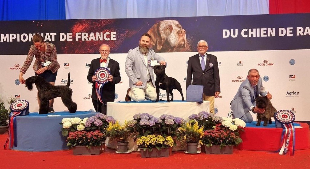 Du Fleuron Champenois - Spéciale de races et championnat de France de Montluçon 