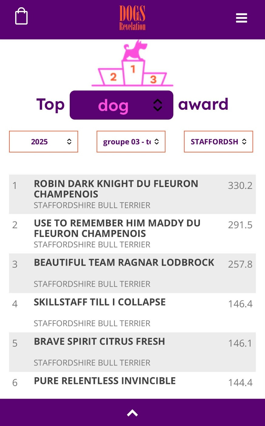 Top Stafford Dogs Révélation
