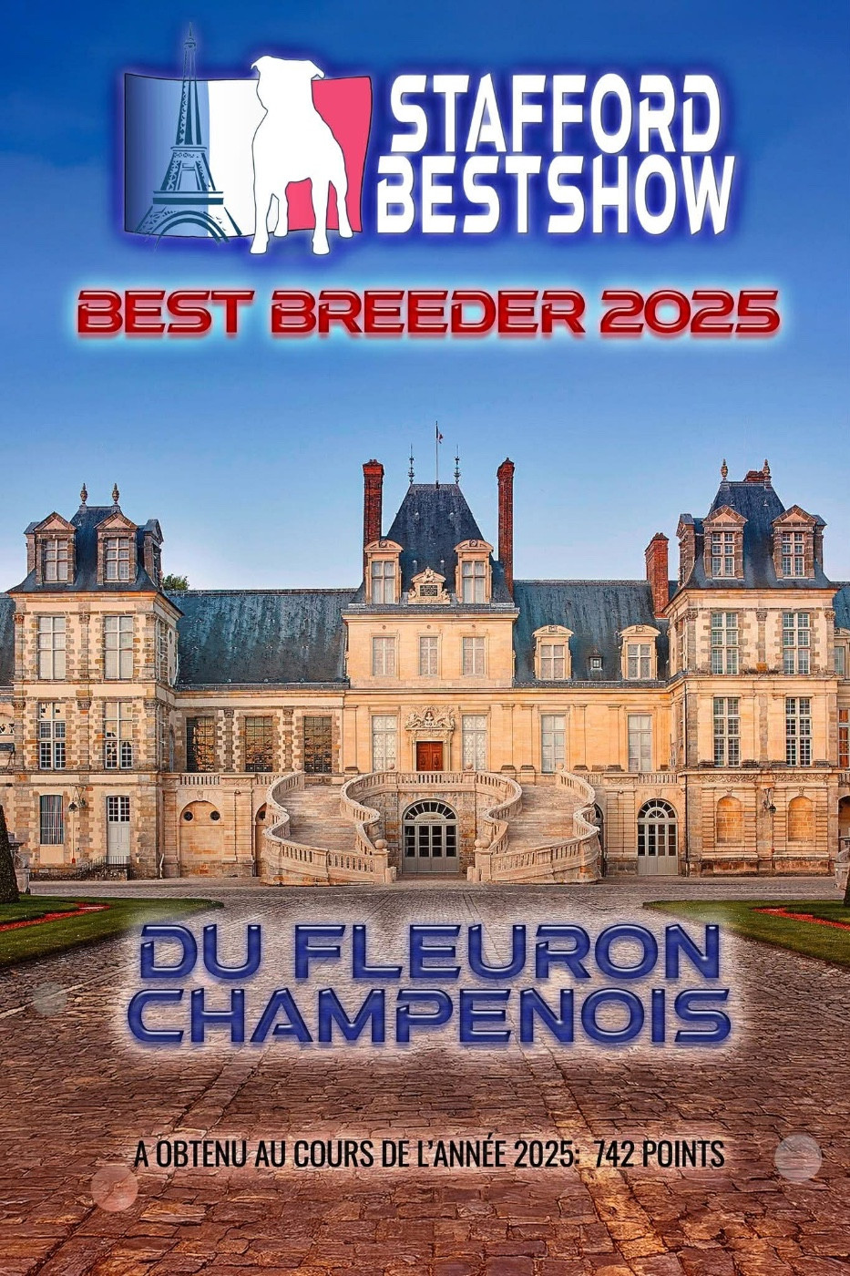 Top Breeder France Dogs révélation et stafford Best show!