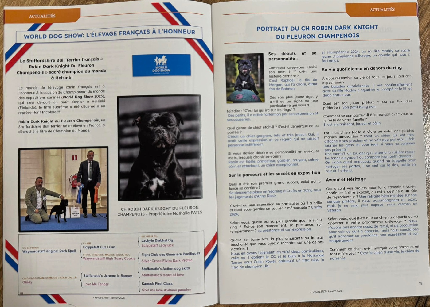La Gazette du SBTCF