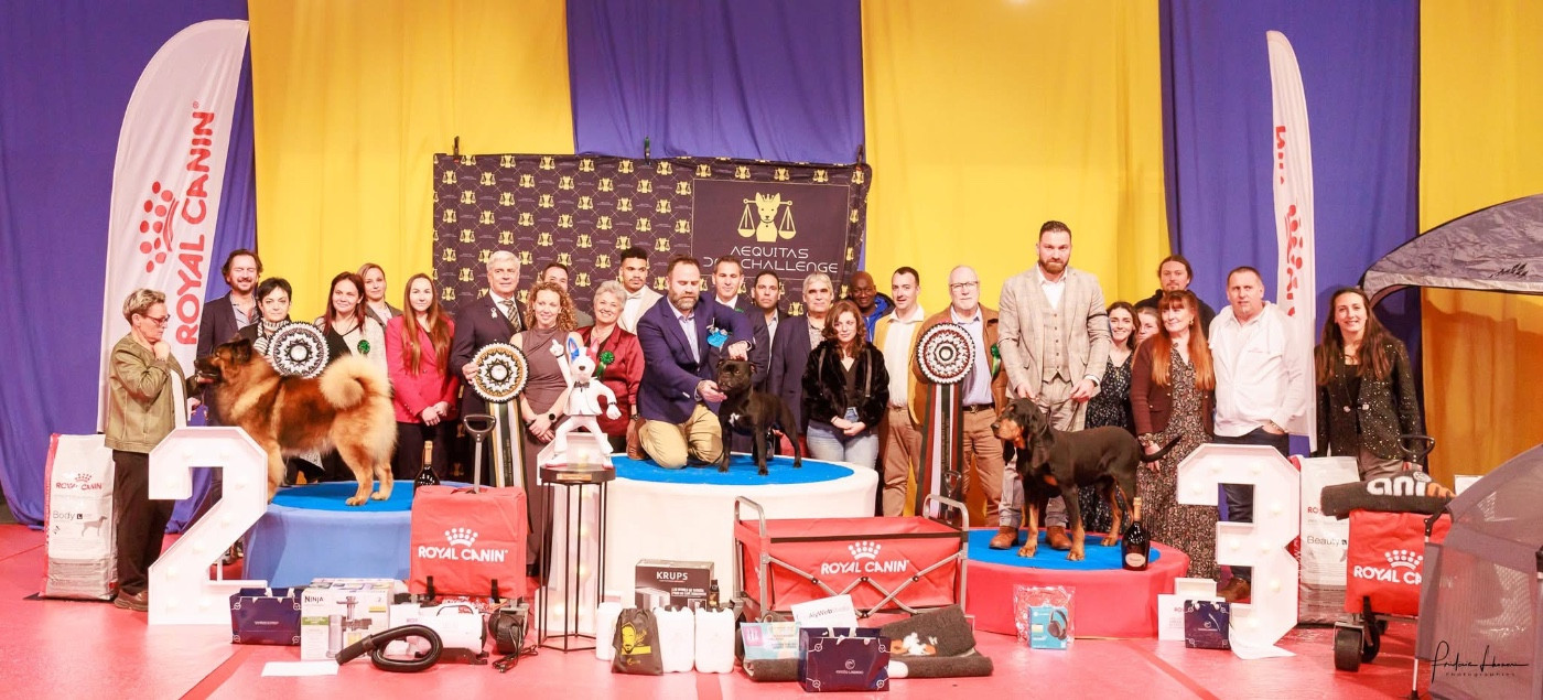 Aequitas Dog Challenge 2025