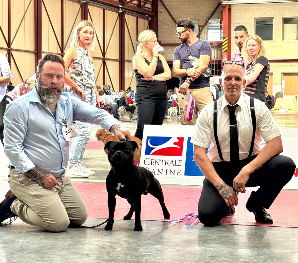 Spéciale de race Compiegne 