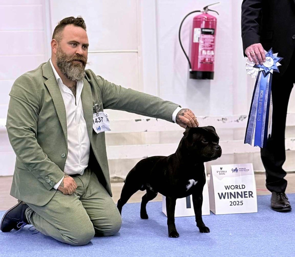 Spécialité » show et world dog show Helsinki 