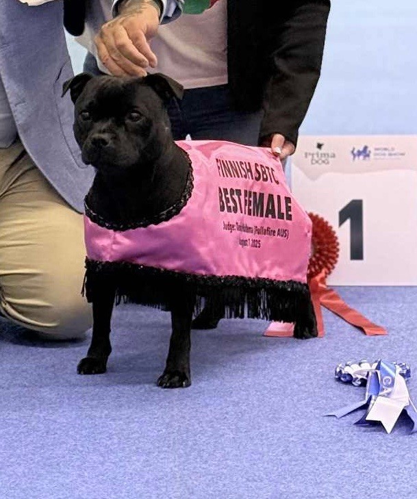 Spécialité et WDS Helsinki